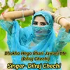 About Dhokho Hego Bhari Jawani Me (Dilraj Chechi) Song